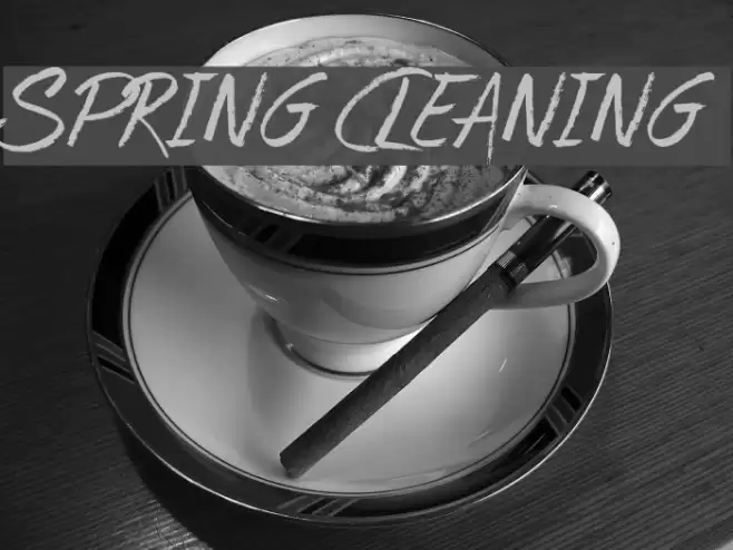 Spring Cleaning Schriftart examples
