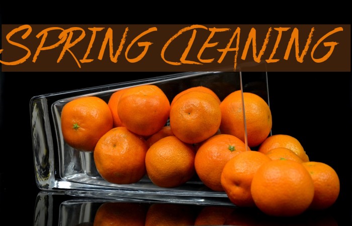 Spring Cleaning Font examples