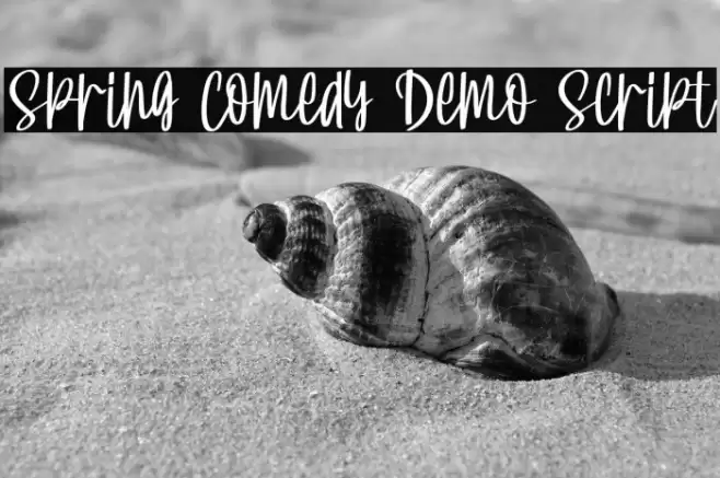 Spring Comedy Demo Script Font examples