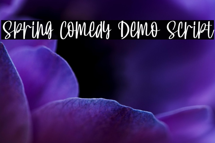Spring Comedy Demo Script Example 3