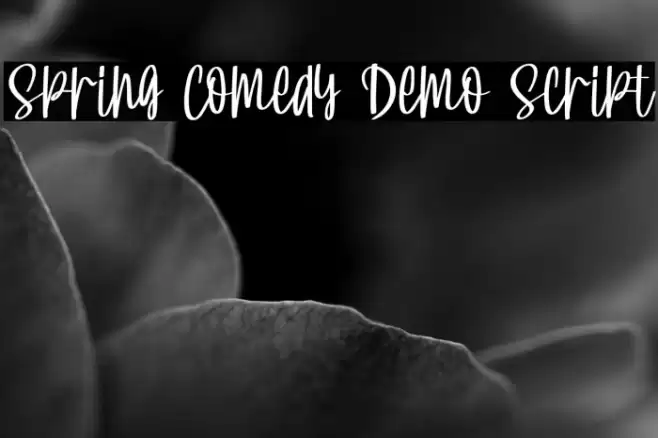 Spring Comedy Demo Script Font examples