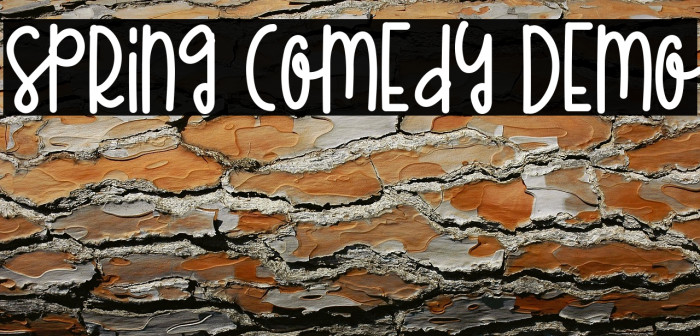 Spring Comedy Demo Example 1