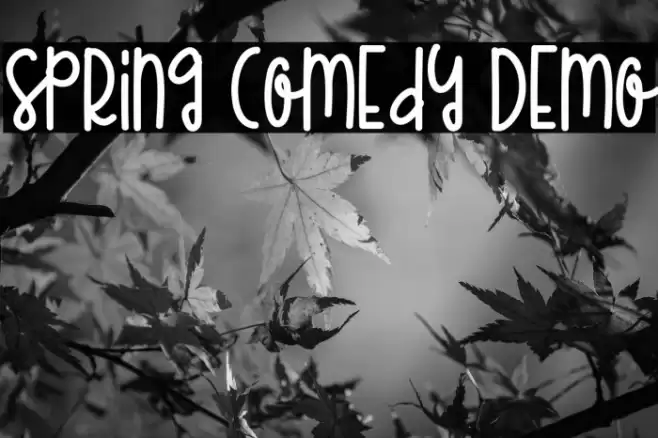 Spring Comedy Demo Font examples
