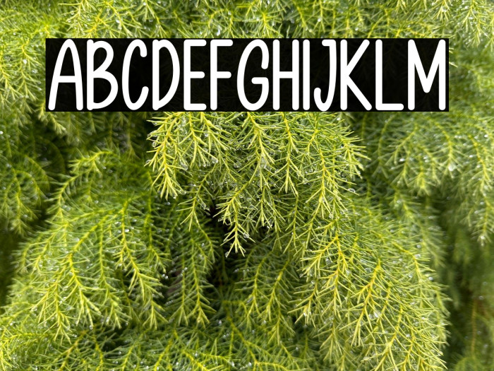 Spring Garden Example 2