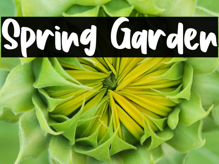 Spring Garden Example 1