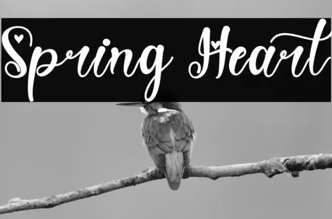 Spring Heart Font examples