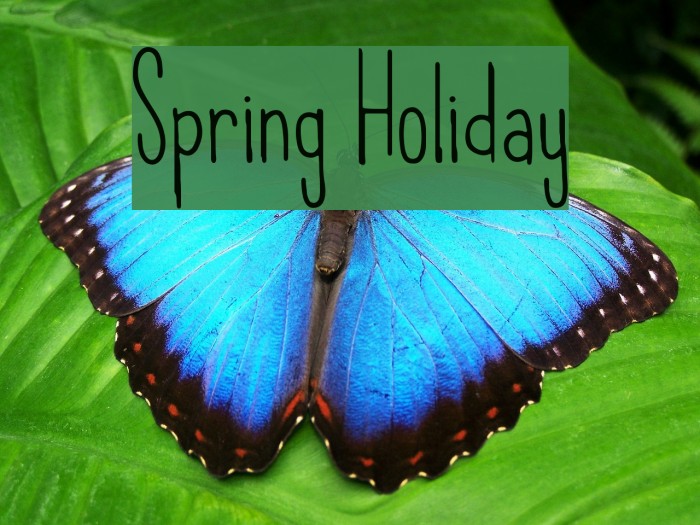 Spring Holiday Example 1