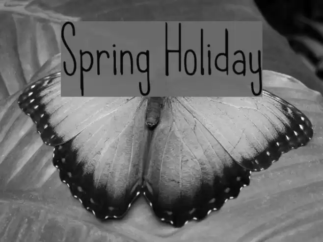 Spring Holiday Font examples