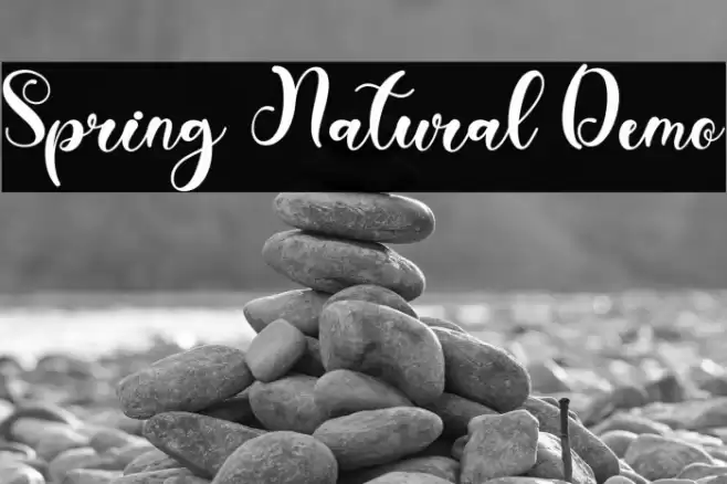Spring Natural Demo Font examples