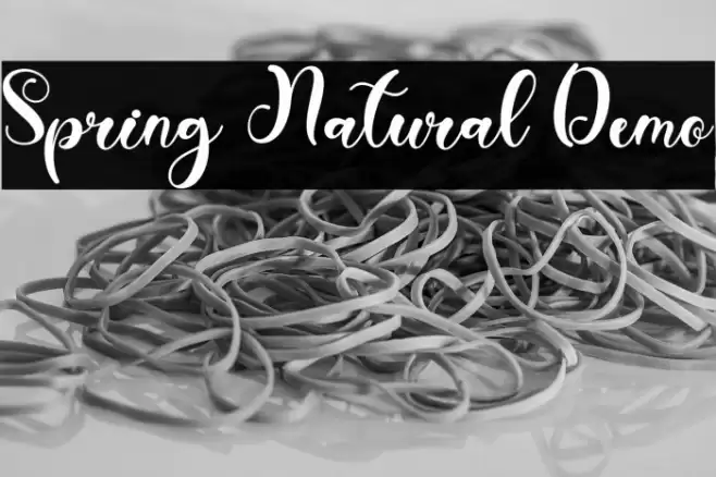 Spring Natural Demo Font examples