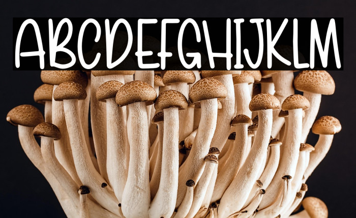 Spring Onion Example 2