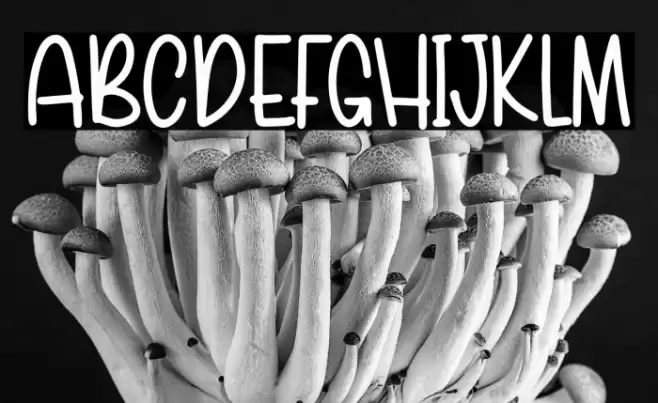 Spring Onion Font examples