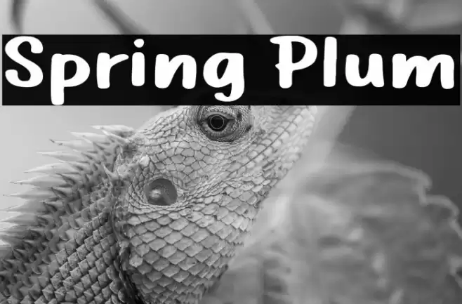 Spring Plum Font examples