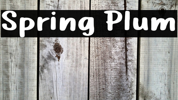 Spring Plum Example 2