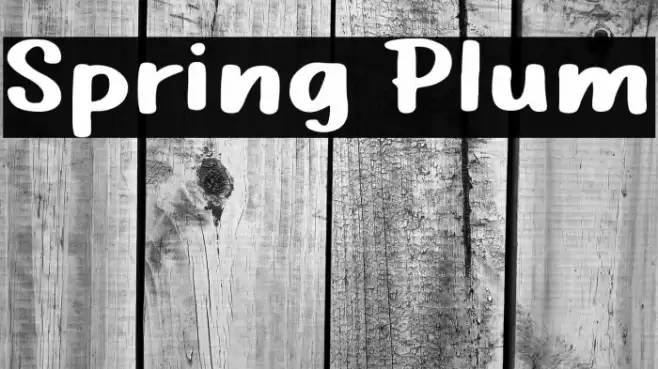 Spring Plum Font examples