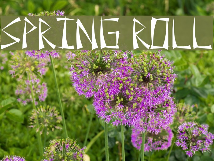 Spring Roll Font examples