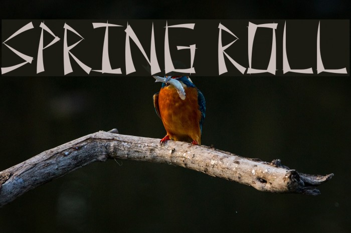 Spring Roll Font examples