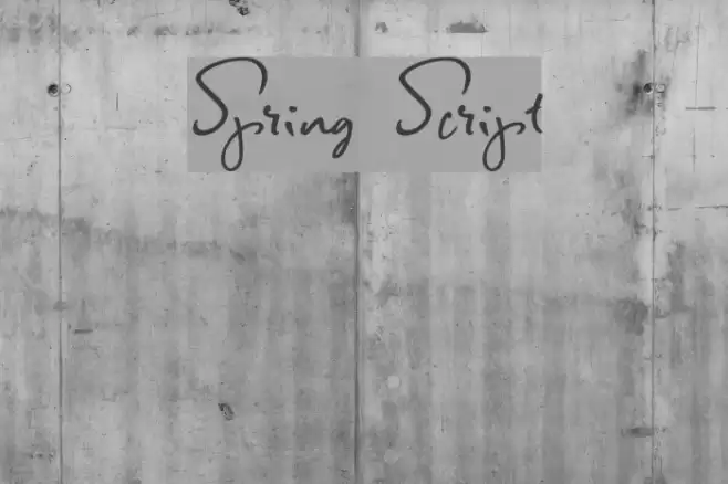 Spring Script Font examples