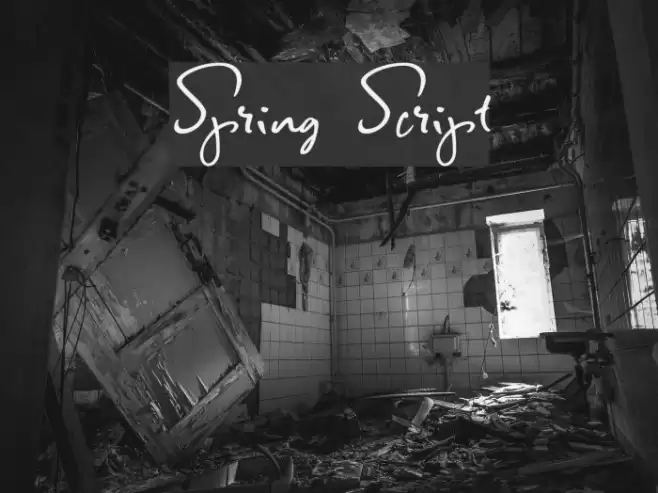 Spring Script Font examples