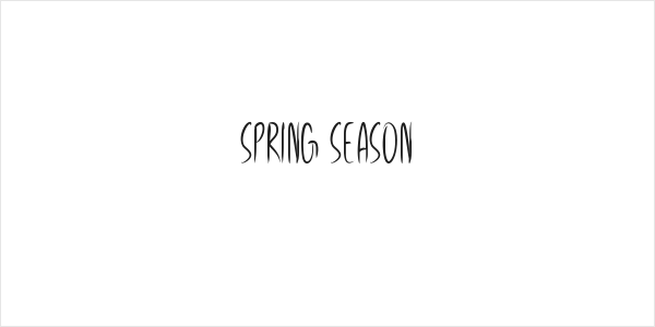 Spring Season Logo