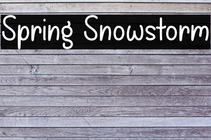 Spring Snowstorm Example 1