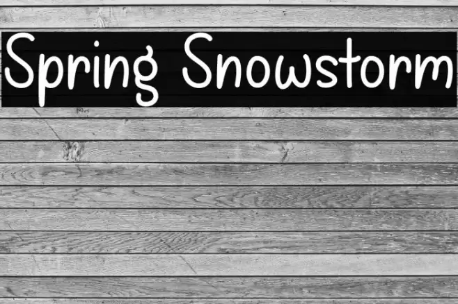 Spring Snowstorm Font examples