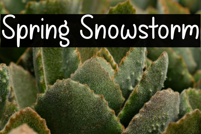 Spring Snowstorm Example 2