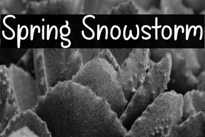 Spring Snowstorm Font examples