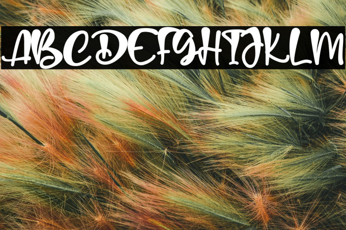 Spring Sunshine _ Personal Use Example 1