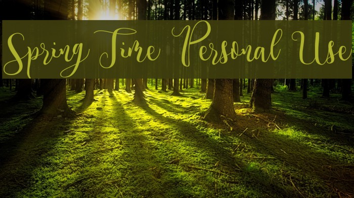 Spring Time Personal Use Example 1