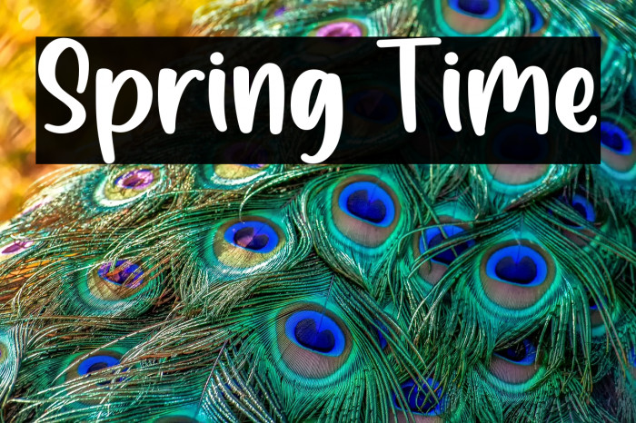 Spring Time Example 1