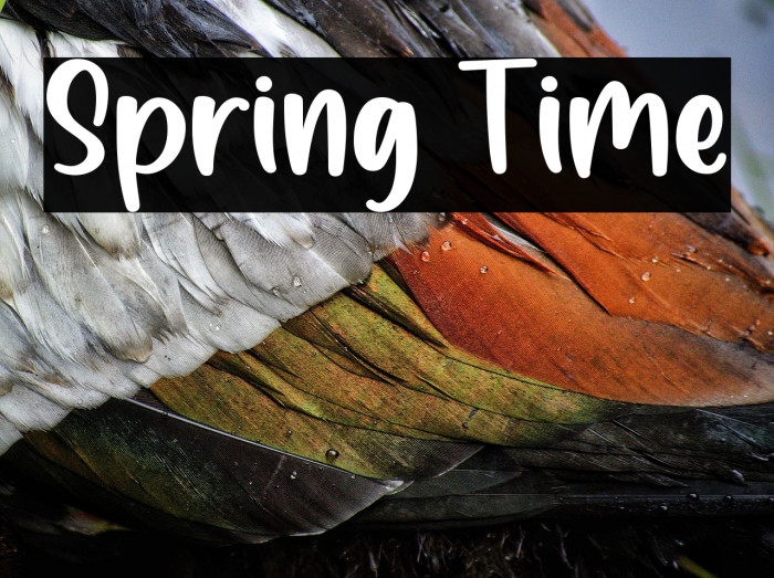 Spring Time Example 2