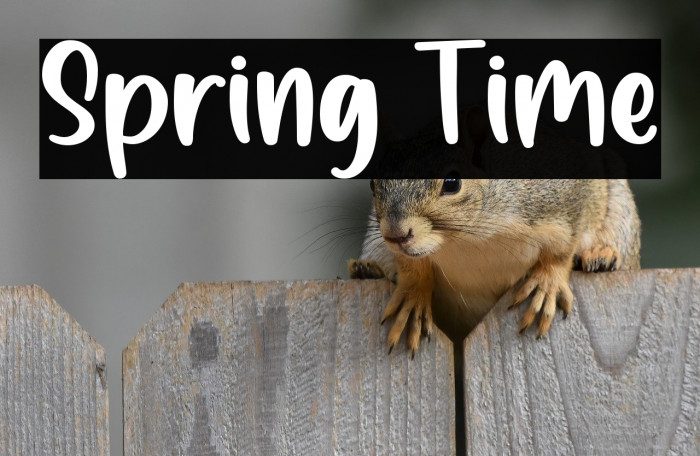 Spring Time Example 3