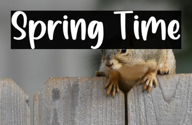 Spring Time Example 3