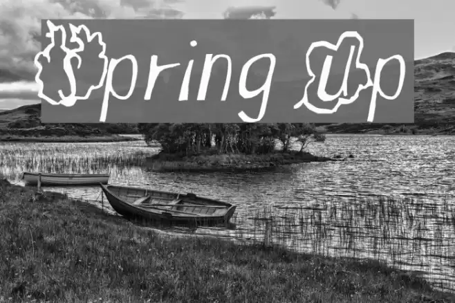 Spring Up Font examples