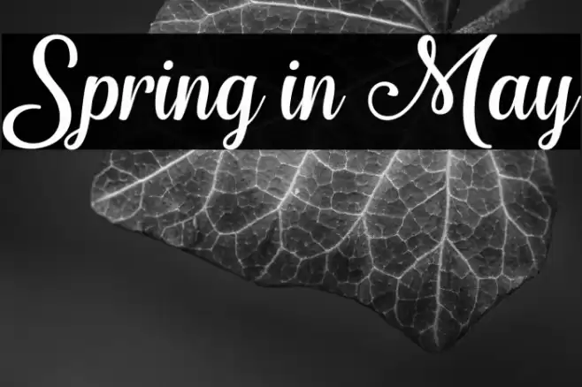 Spring in May Font examples