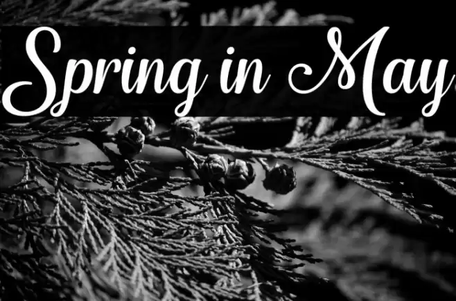 Spring in May Font examples