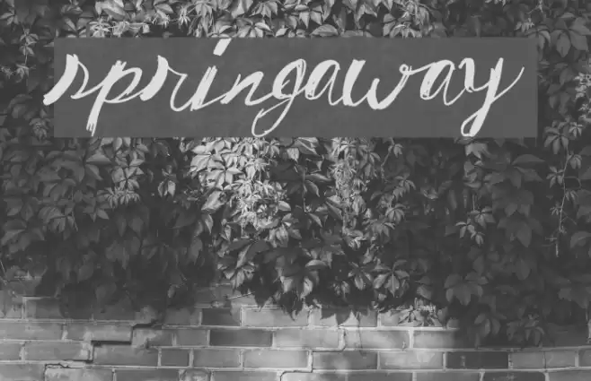 SpringAway Font examples