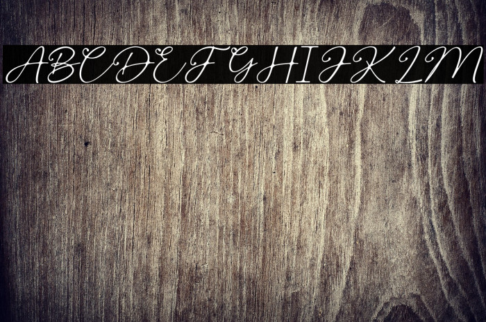 SpringBeauty Example 1