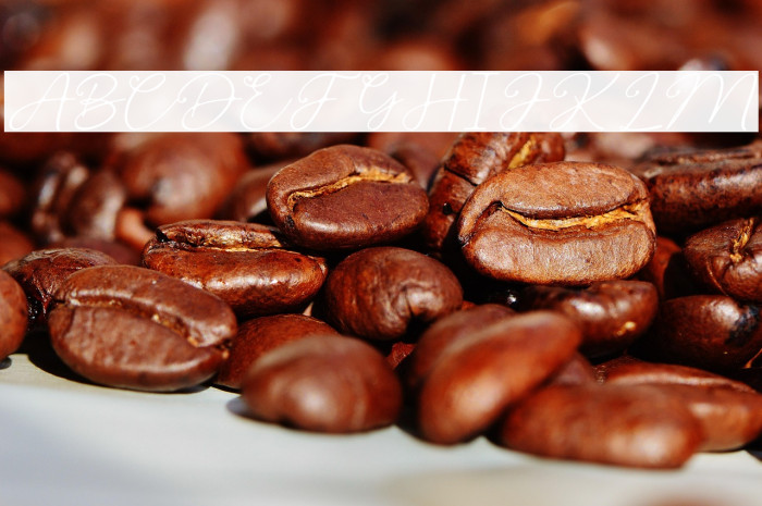 SpringBeauty Example 2