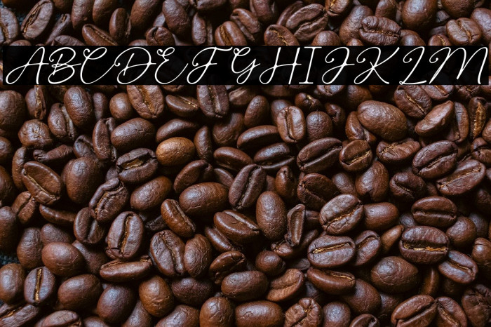 SpringBeauty Example 3