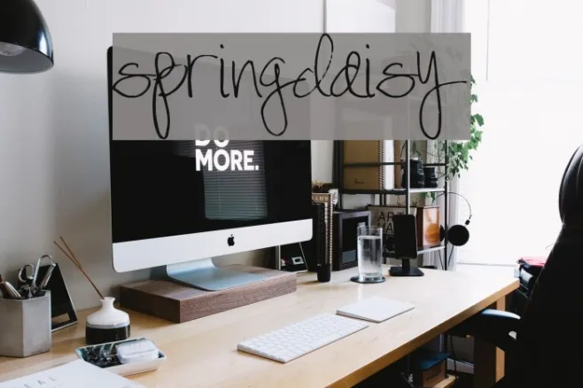 SpringDaisy Example 1