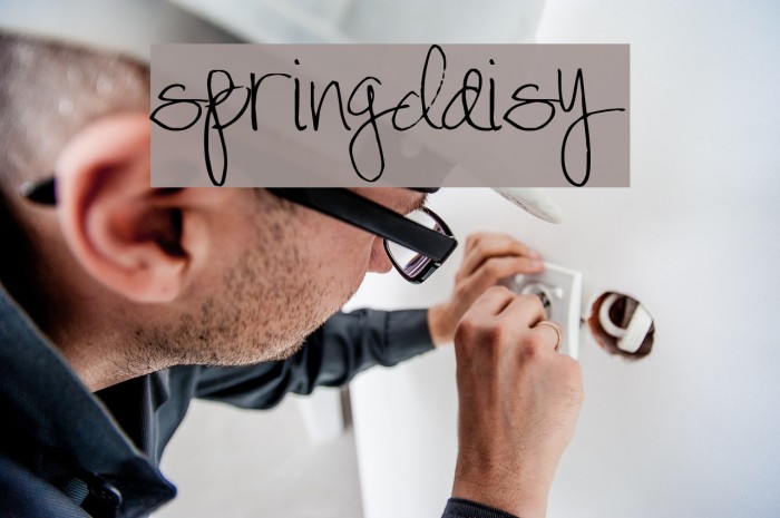 SpringDaisy Font examples