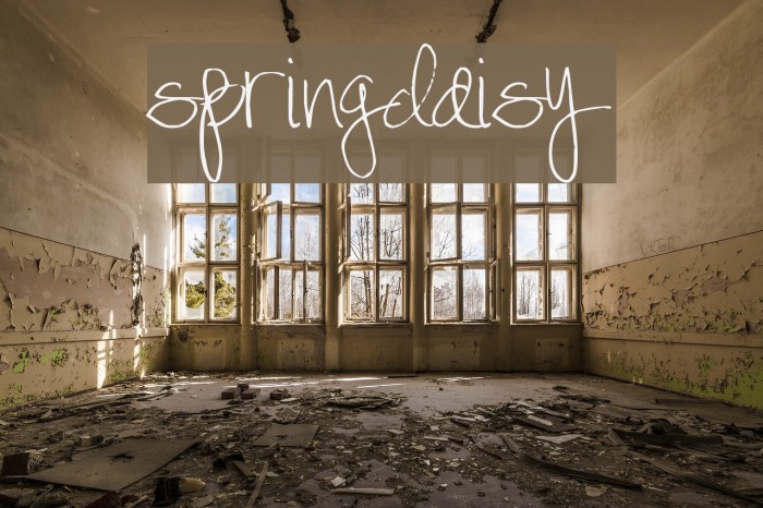 SpringDaisy Font examples