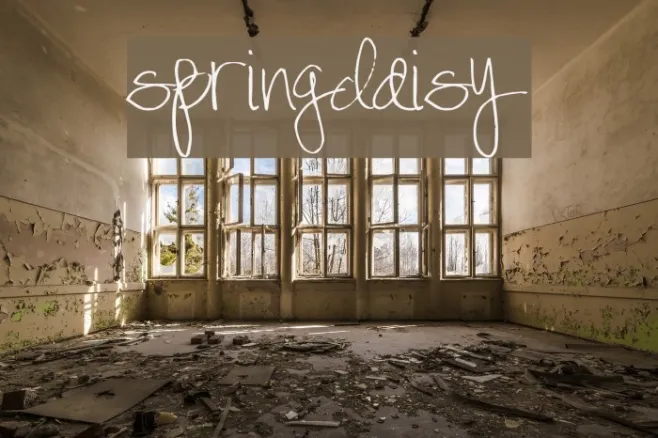 SpringDaisy Example 3
