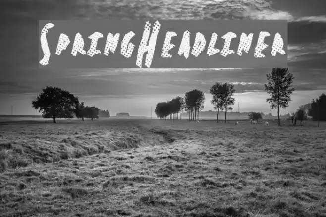 SpringHeadliner Font examples