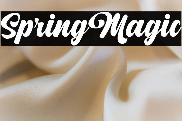 SpringMagic Example 1