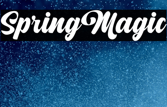 SpringMagic Example 2