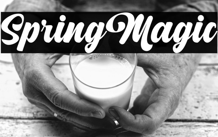 SpringMagic Example 3