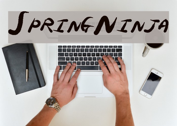 SpringNinja Example 1